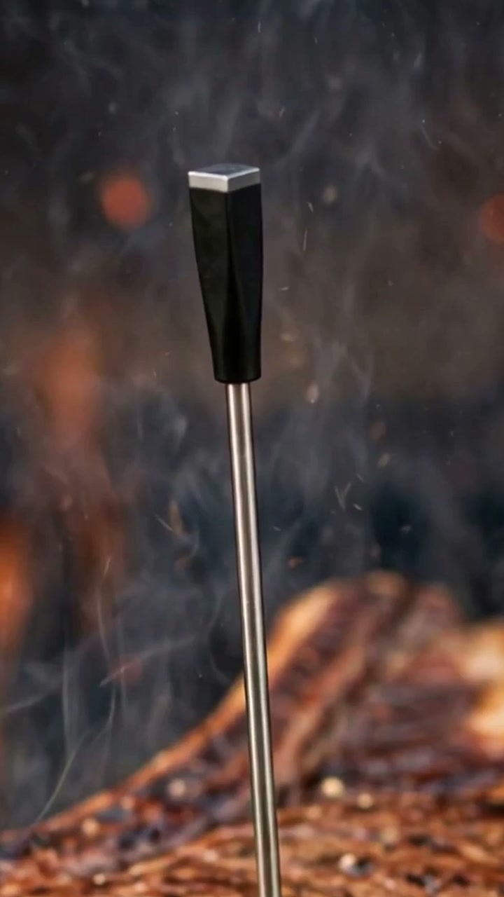 Styled product image of MEATER Plus Wireless Meat Thermometer