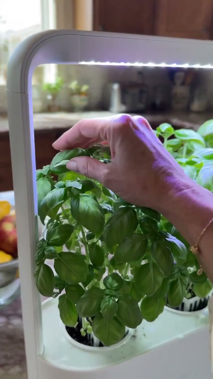 Styled product image of Click and Grow Smart Garden 3
